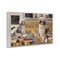 Stupell Industries Meow Bakery Funny Cats Framed Giclee Wall Art Design by Mehu Art